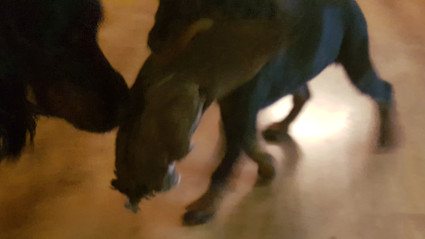 Vattu ja Norja