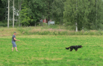 Antti menee seisonnalle