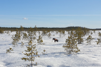 Nevalla