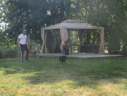 Treeni�