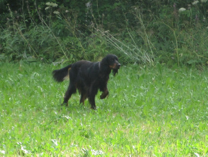 Seisonta