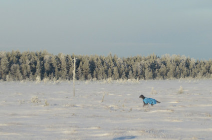 Nevalla