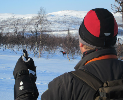 Pelle tyylittel��