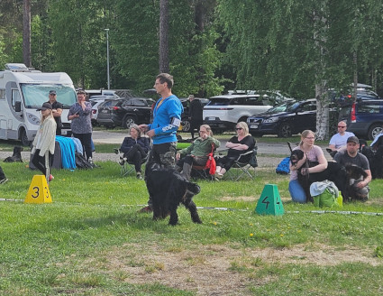 Eriomainen
