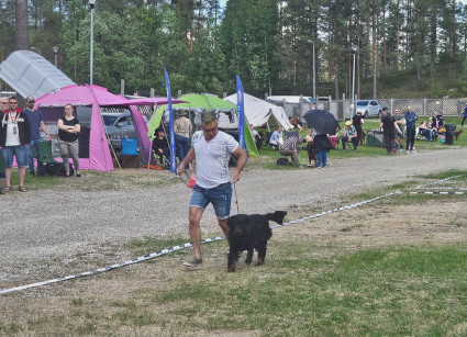 Rio ja Jarkko