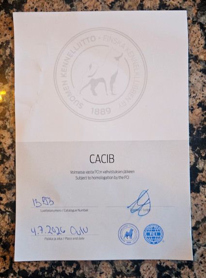 CACIB