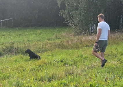 Siiri istuu lintuty�n j�lkeen