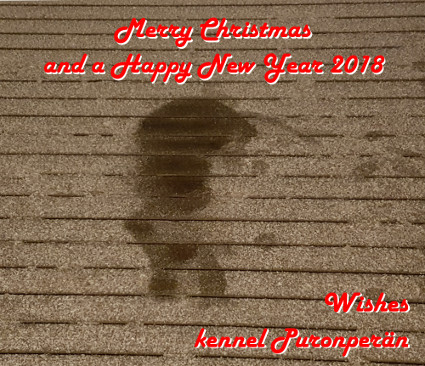 Merry Christmas!