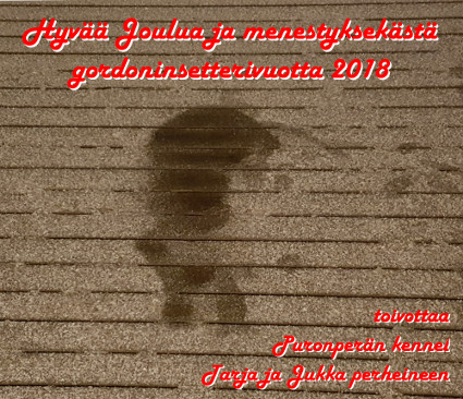 Hyv�� Joulua!