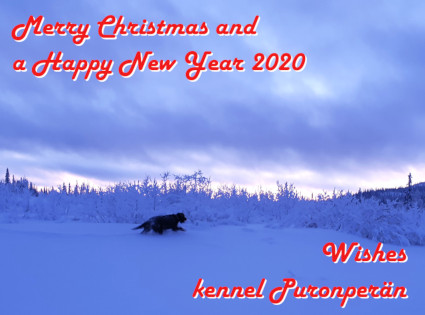 Merry Christmas!